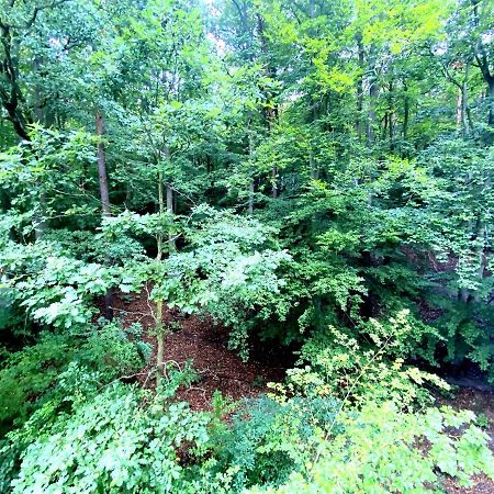 Forest - 23 Marca Sopot By Grand Apartments 外观 照片