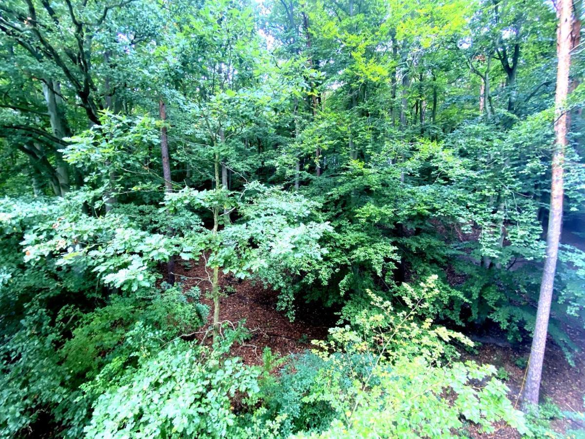 Forest - 23 Marca Sopot By Grand Apartments 外观 照片